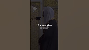 " تلاوة بصوت يلامس القلب | تلاوة خاشعة للشيخ أحمد بن طالب"