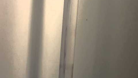 Reynolds Experiment Transition Flow