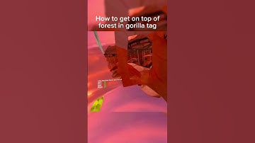 So sigma gorilla tag how to get out the map