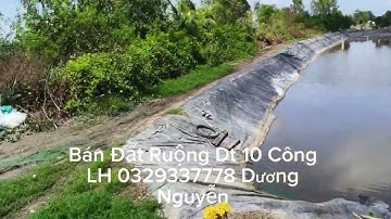Nhà Đất Bán Đất Ruộng Dt 10 Công Giá 200tr Công/1000m2 Tân Thạnh Long An Cũ Tây Ninh Mới 