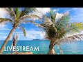 Tropical Calm 💗🏝 HD Live Stream & Relaxing Ocean Sounds