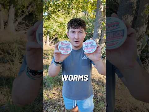 Feeding the STATE RECORD BASS worms!! 😱 #fishing #bassfishing #shorts