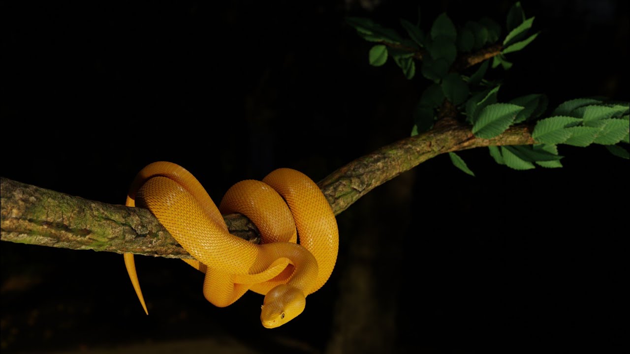 Blender - Yellow Viper (Snake Scales) Cycles Render View