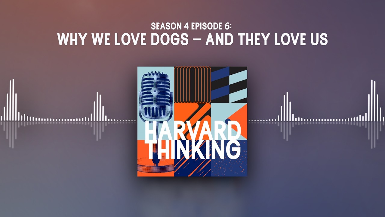 Harvard Thinking: Why we love dogs – and they love us