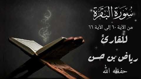 آيات من الذكر الحكيم للقارئ رياض بن حسن التونسي