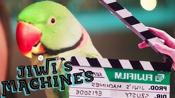 How To Get A Parrot Eat A Grape! | Jiwi
