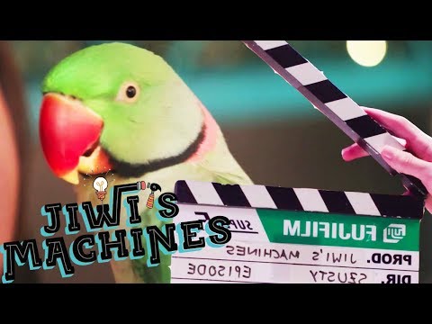 How To Get A Parrot Eat A Grape! | Jiwi’s Machines Ep 3 | Behind The Scenes How To Get A Parrot Eat A Grape! | Jiwi’s Machines Ep 3 | Behind The Scenes