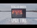 Tangled horns  april fire official