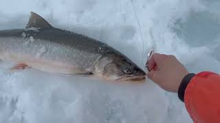 Ice fishing for char on the weekend