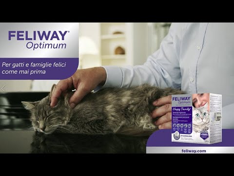 Feliway Optimum, per gatti felici come mai prima - 45'' 