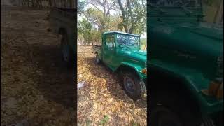 Toyota LANDCRUISER bj45 de 1976