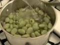 Fava Beans 101