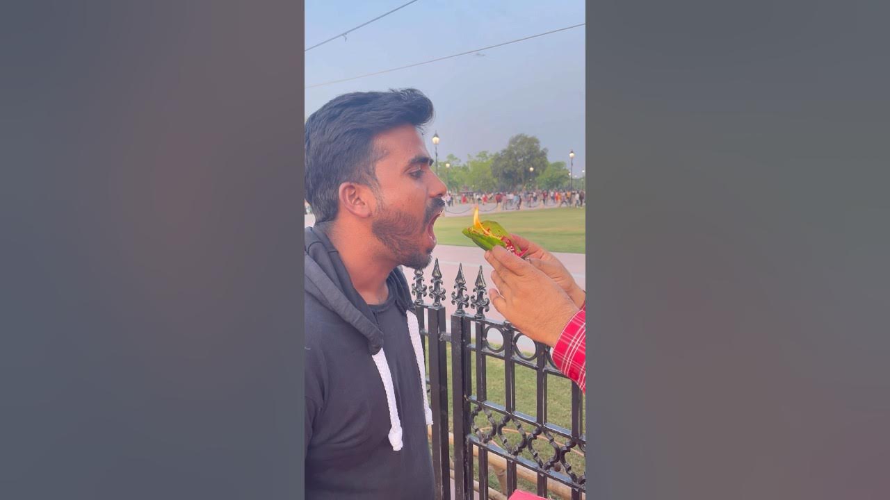 famous-fire-pan-in-delhi-food-review-shortsfeed