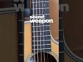 Cort Essence Essence GA4O: Can a brand new guitar sound like an old favorite?