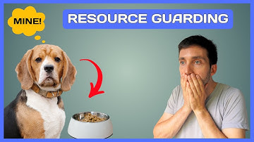 The Truth About Resource Guarding in Dogs