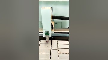 3 axis robot Vission CCD glue dispensing