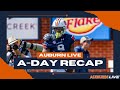 Live aday reaction  takeaways from auburn football spring practices  auburn live