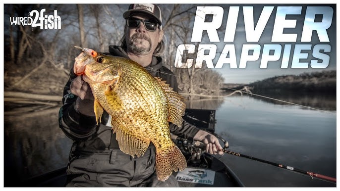 Crappie Fishing in the Summer  Best Spots and Lures 