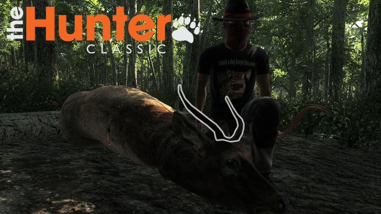 Another Giant Elk In The Hunter Classic!
