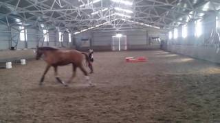 Ivanovic 19.7.2016 Innari