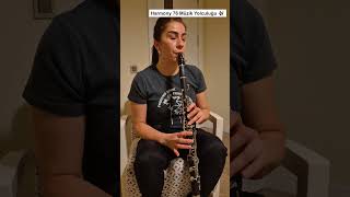 Klarnetle Bir Sezen Aksu Klasiği Im