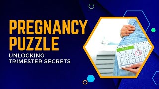 How To Calculate Your Pregnancy Trimester | A Simple Guide To Calculating Your Pregnancy Trimester