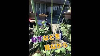 【高齢者向け】オススメ!季節を感じるレクリエーション