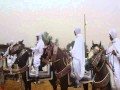 خيول ليبياعقد من عقاد الرقيعات عمران المطبس 3خ 