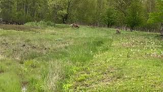 IMG 5459