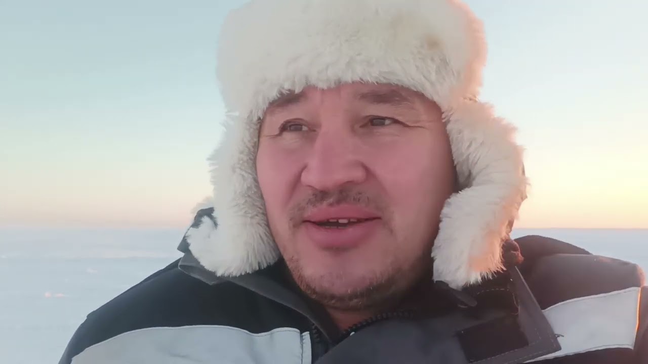 Тундра, вспышки на солнце ☀️