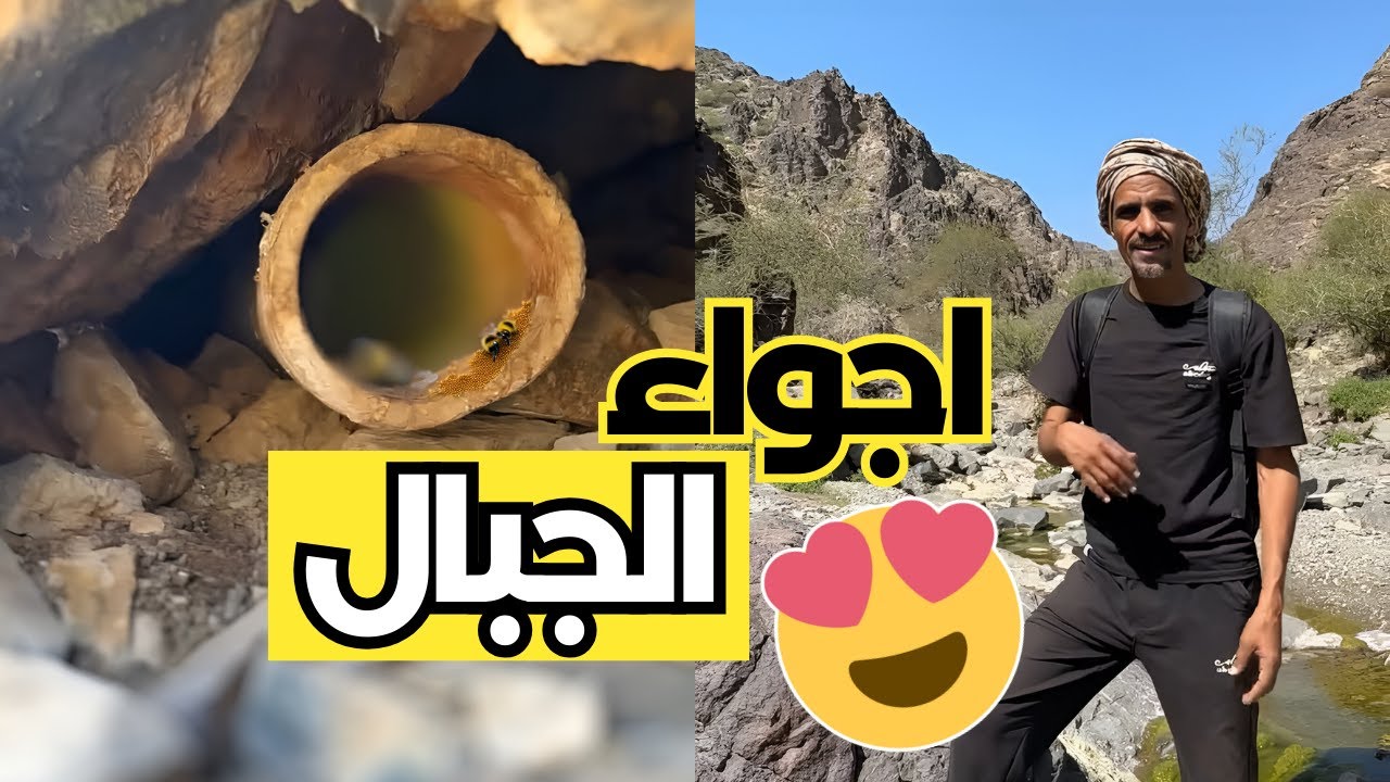 رحلة لخلايا النحل بالجبال مع زعتور وحمود (لقينا برك ماء بالجبال 😍🌊)