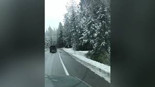 Pinecrest California snow trip near Long Barn