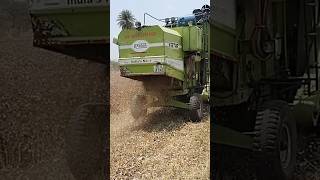 KARTAR 4000 #harvestar #combine #farming #mp