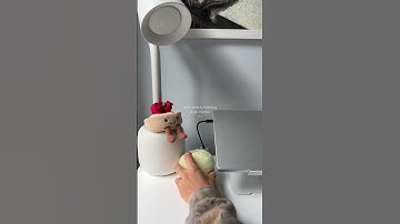 my favorite routine 🤍 #desksetup #asmr #asmrsounds #morningroutine #shorts #new #reset