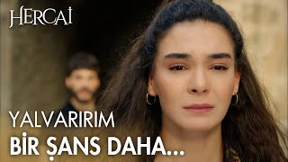 Reyyan son kez Miran'ı affedebilecek mi? - Hercai 11. Bölüm