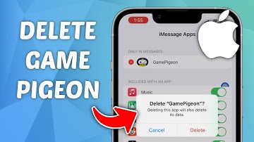 How to Delete Game Pigeon on iPhone - Uninstall Game Pigeon in iPhone