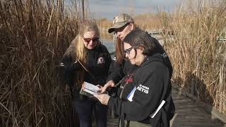 How to conduct a wetland health survey