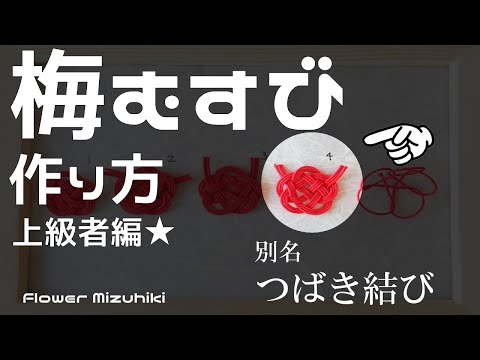 梅結びつばき　原画　A4サイズ 梅結びつばき 原画 A4サイズ 椿・番号R-28 | 成願義夫のオリジナル