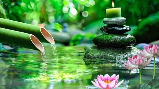 Relaxing Music to Relieve Stress, Anxiety and Depression 🌿 Heals The Mind, Body and Soul #35