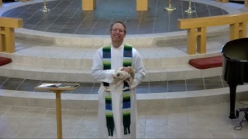 Plotinus (Tiny) the Pig - Seventeenth Sunday After Pentecost 2023