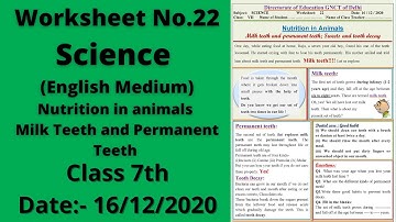 Worksheet 22 Science class 7(16/12/2020)English Med/worksheet 22 Science class7/Science worksheet22