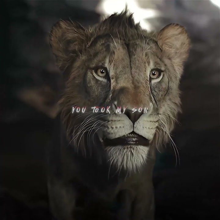 'Please don't kill him' Mufasa: The Lion King #edit