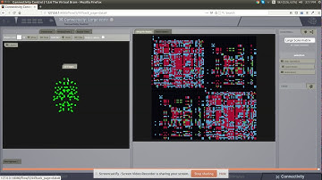 The Virtual  | TVB | INCF |Gsoc