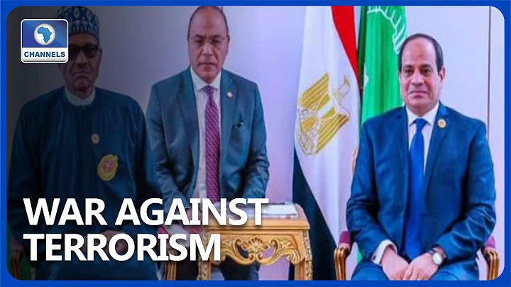 Buhari, El-Sisi Pledge Counter Terrorism Collaboration