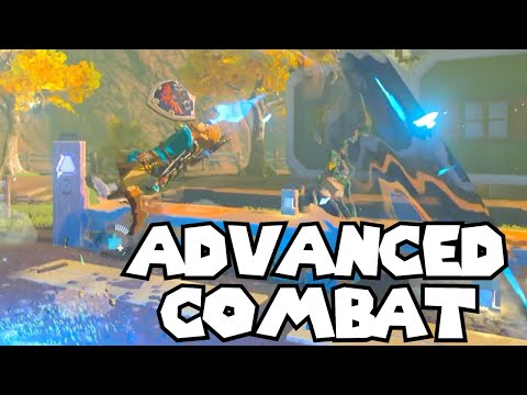 5 Advanced Combat Techniques In BotW