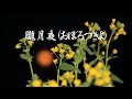 朧月夜【おぼろ月夜】photo-1080