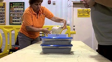 Ladder and Beam - Breaking down the behavior chain into pieces.