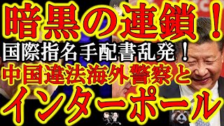 【岸田ぁ！東京都千代田区に中国警察のスパイ機関が！追い出せぇ！】インターポールが中国共産党に乗っ取られた！しかも海外派遣されてる中国警察と結託している可能性が出てきた！岸田ぁ！まずは日本から中国警察を