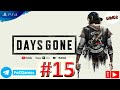 Days Gone ➤ Полное прохождение #15 ➤ Жизнь после ➤ Геймплей ➤ На русском ➤ PS4 ➤ FoC Games