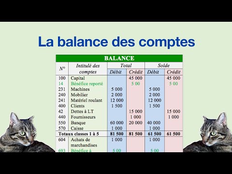 Vidéo: Qu'est-ce qu'une balance ? Analyse détaillée